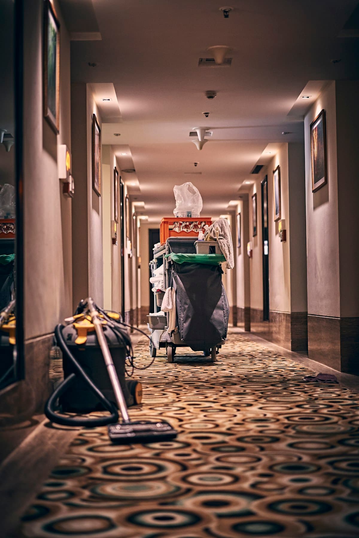 End of Tenancy Cleaning